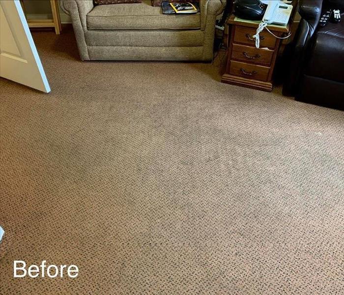Before carpet cleaning